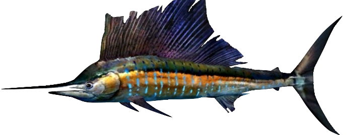 Sailfish - catch sailfish offshore in Palm Beach County